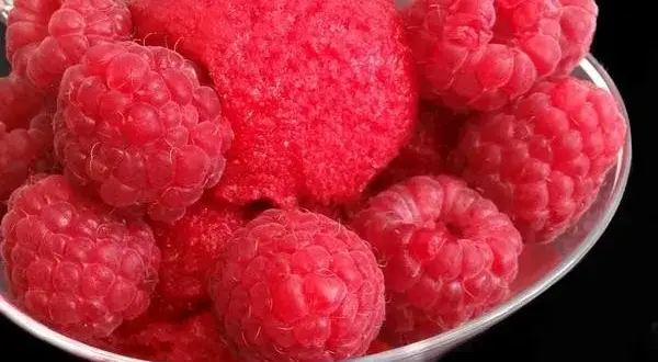 Idealny sorbet malinowy: przepis krok po kroku i triki eksperta