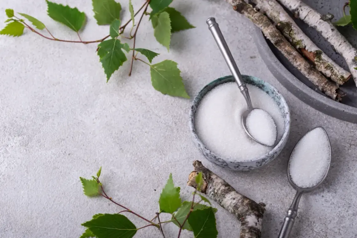 Ksylitol co to? Biały proszek w miseczce i na łyżce, gałązki brzozy i liście. Naturalny słodzik.